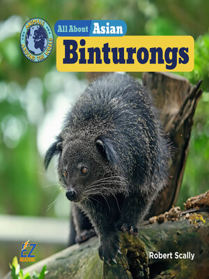 cover image of All About Asian Binturongs